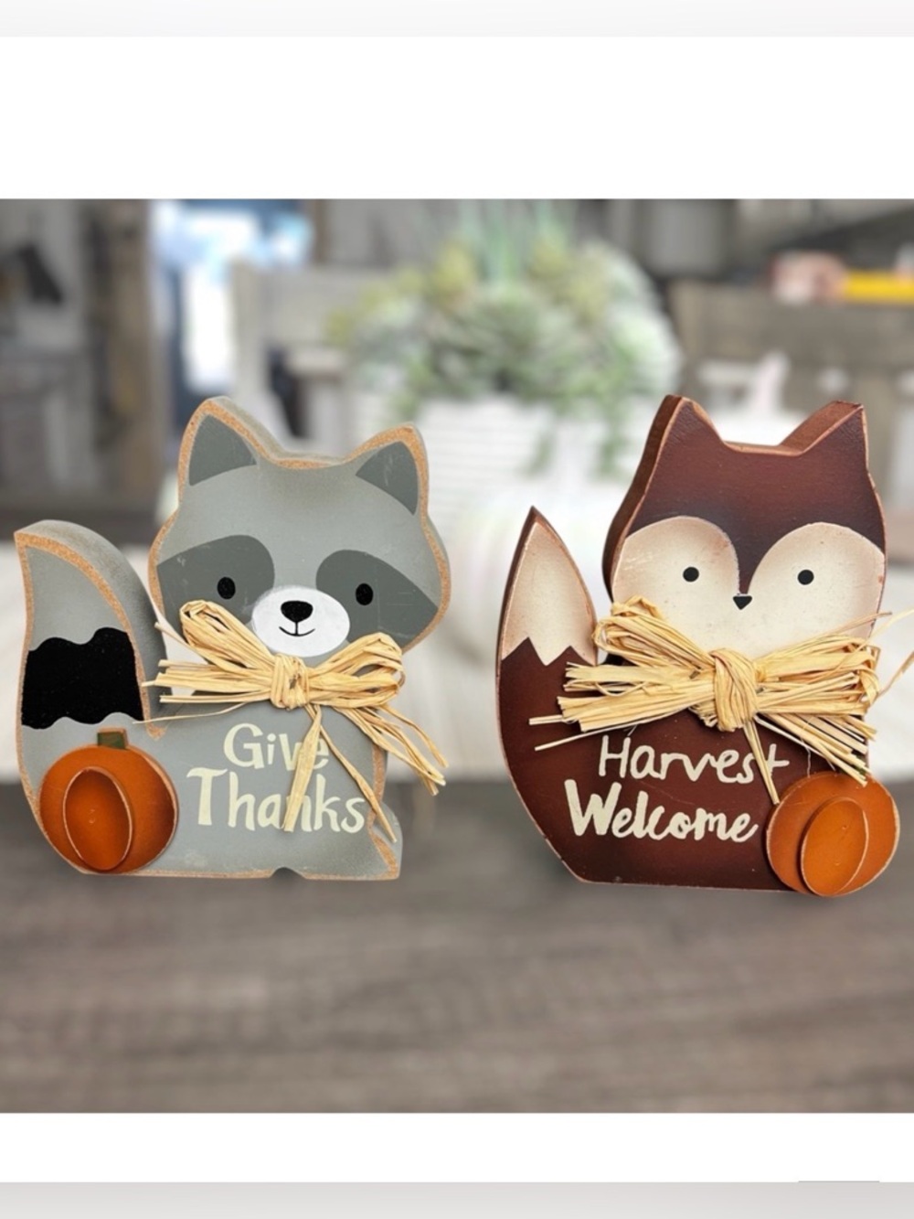 Woodland Animal Give Thanks & Harvest Welcome Home Fall Decor 2 Piece Set